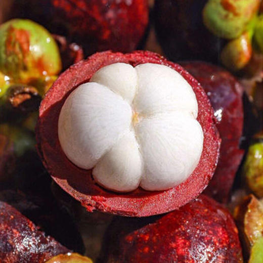 新鲜水果  香甜多汁当季鲜果3A山竹 500g 商品图2