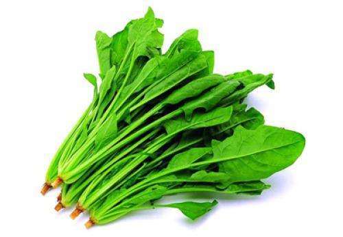 菠菜 商品图0