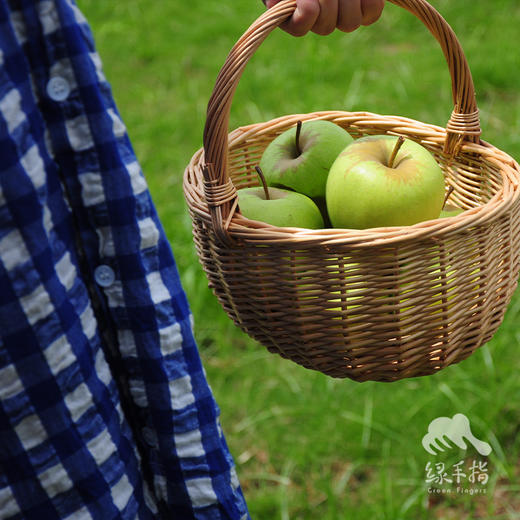 生态青苹果（中通快递） | 合作生产 *Ecological green apple | Partner Production 商品图4