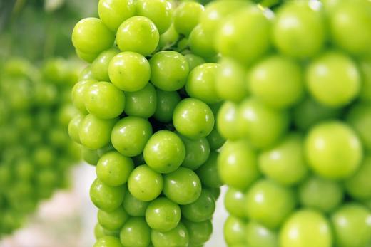 限时优惠天晴香印葡萄一级果