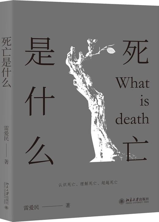 《死亡是什么》定价：35.00元 作者：雷爱民  著 商品图0