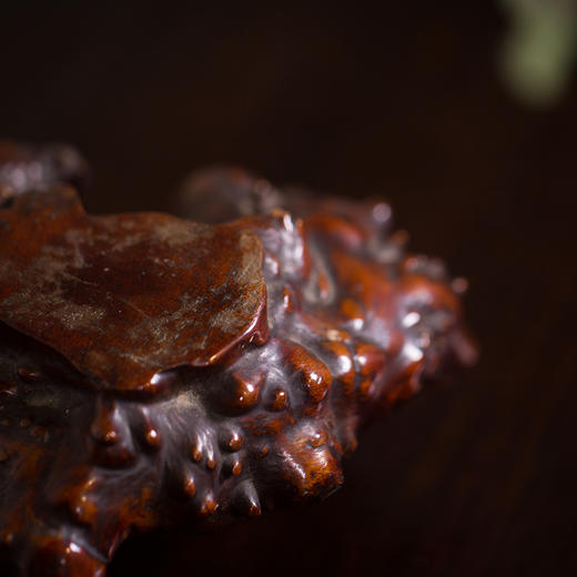 清代  黄杨木树瘤根形器座 商品图3