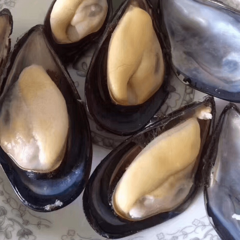 舟山海鲜嵊泗枸杞岛大淡菜新鲜贻贝青口贝鲜活海虹3斤装,23