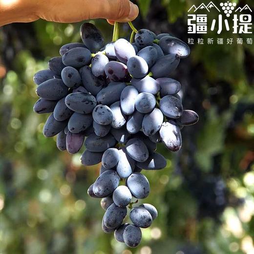 新疆黑美人葡萄4斤/件 新疆哈密产区 清甜无籽葡萄 新疆葡萄美食 商品图1