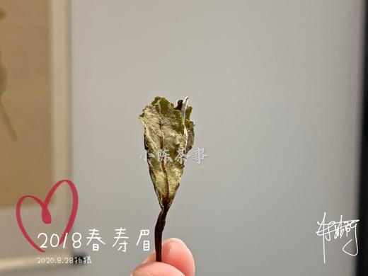 7年陈的2018高山一级春寿眉，感受茶汤里浓郁的栀子花香 商品图7