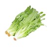 油麦菜 商品缩略图0