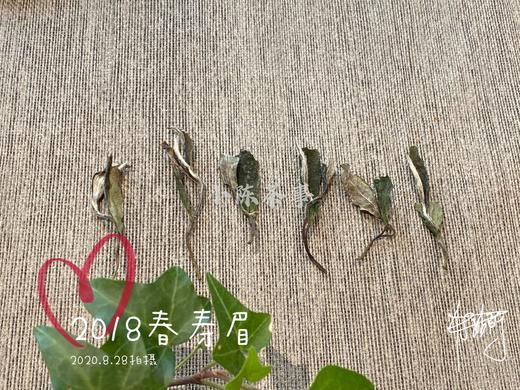 7年陈的2018高山一级春寿眉，感受茶汤里浓郁的栀子花香 商品图0