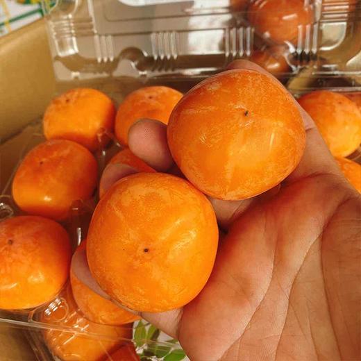 【火晶小柿子】2斤/3斤/6斤  多规格任选 商品图0