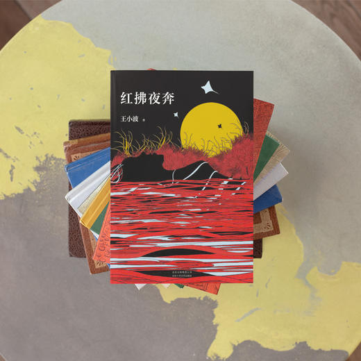 王小波四大名作（连岳最爱的四本书） 商品图4