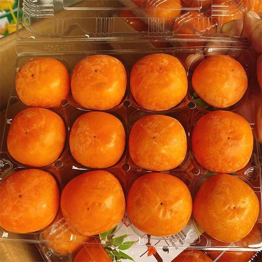 【火晶小柿子】2斤/3斤/6斤  多规格任选 商品图1