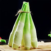 景宁有机高山冷水茭白2斤 商品缩略图2