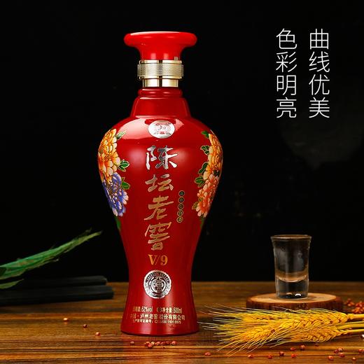 瀘州老窖酒瀘州陳壇老窖v9濃香型白酒52度整箱裝500ml6瓶純糧酒