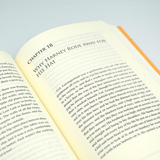 哈克贝利·费恩历险记 商品图6