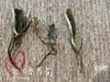 7年陈的2018高山一级春寿眉，感受茶汤里浓郁的栀子花香 商品缩略图4