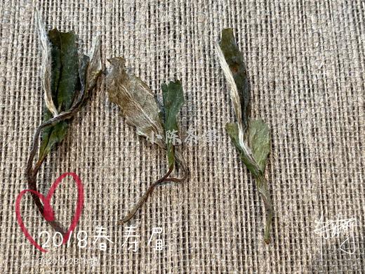 7年陈的2018高山一级春寿眉，感受茶汤里浓郁的栀子花香 商品图4