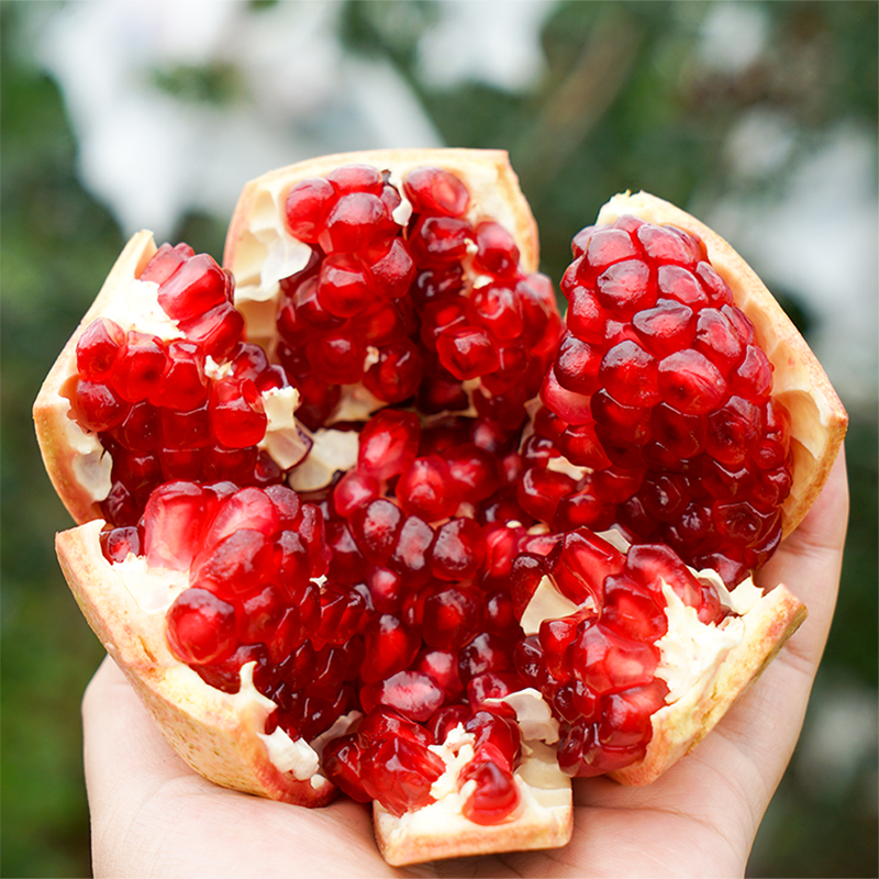 突尼斯软籽红石榴5斤/8斤 可以喝的“雅诗兰黛” 不吐籽 香甜多汁 红色璀璨如宝石 颗颗饱满 老少皆宜