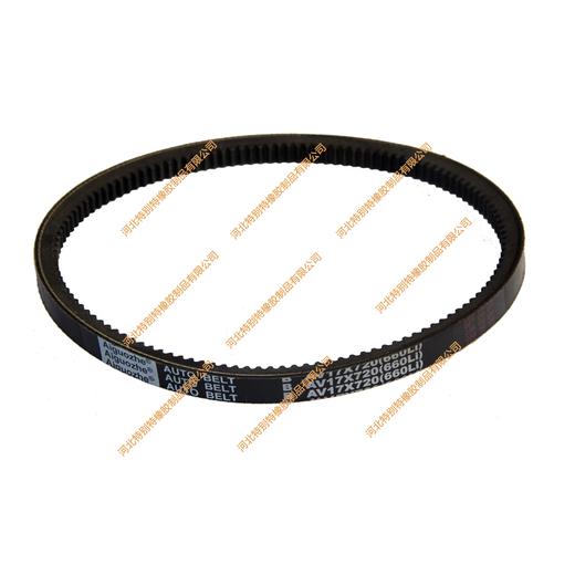 爱国者17*660li南内368Q皮带17x660li(17660li) 商品图1