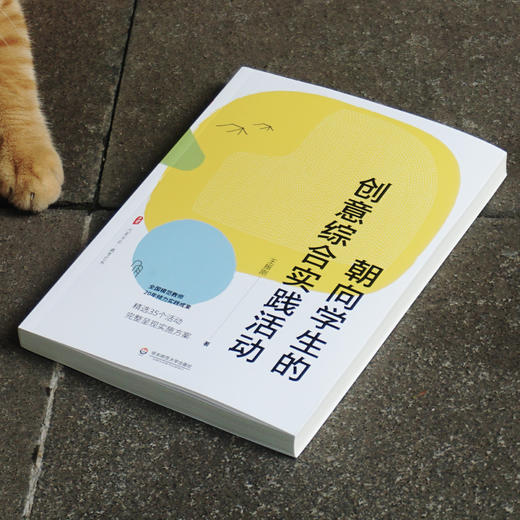 朝向学生的创意综合实践活动 王振刚 大夏书系 综合实践活动课程 商品图1