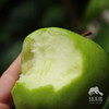 生态青苹果（中通快递） | 合作生产 *Ecological green apple | Partner Production 商品缩略图1