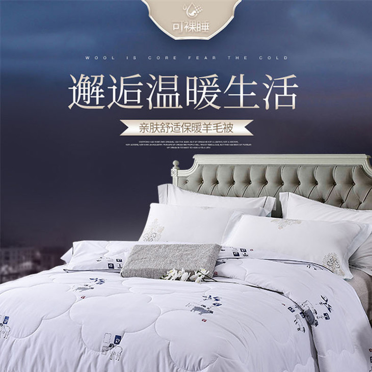 杉杉家纺新一代羊毛被(抗菌型)qfs-26112