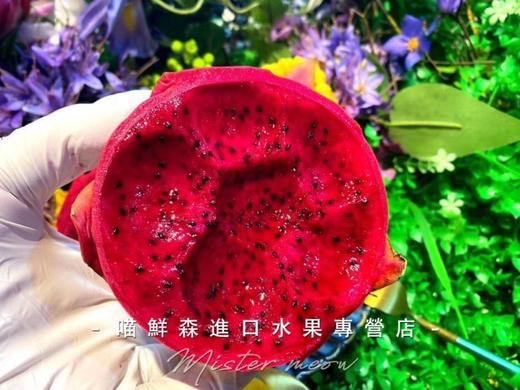 【版纳小甜心】红心火龙果 商品图5