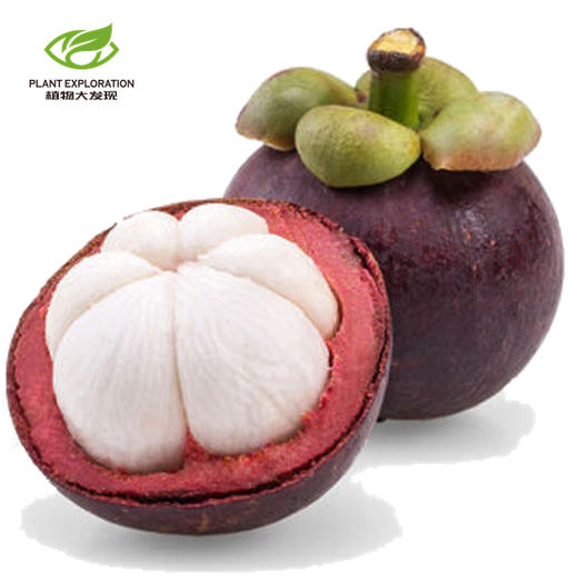 泰国老树山竹（云南） 商品图1