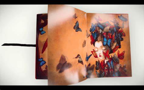 【现货】Madame Butterfly 作者 Benjamin Lacombe 商品图3