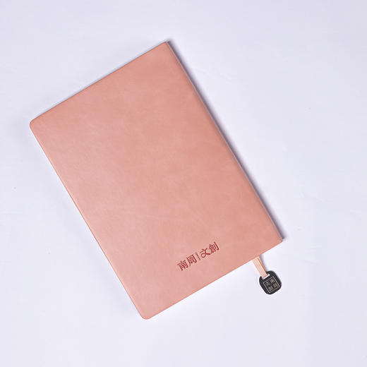 南周文创-咸鱼笔记本 商品图9