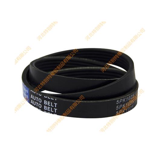 维修套装:(老款)天龙雷诺套装(空调+发电机+风扇）(空调D5010550335+5pk1258)+(发电机D5010412957+5pk1025) +(风扇D5010412956+9pk1690) 商品图10