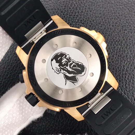 V6万国海洋时计系列鲨鱼青铜之旅“达尔文探险之旅”特别版44MM--青铜合金表壳 商品图8