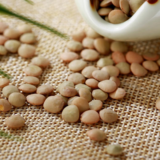 天山生态小扁豆500g  富含维生素B、叶酸 五谷杂粮豆 商品图1