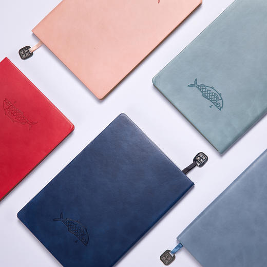 南周文创-咸鱼笔记本 商品图11