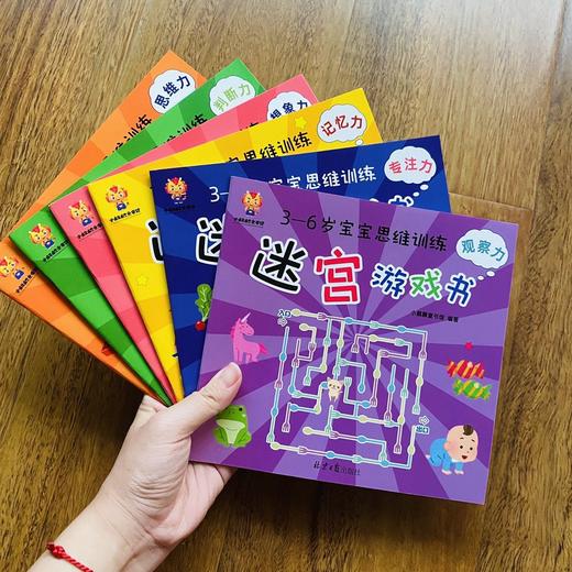 迷宫大冒险-3-6岁宝宝思维训练迷宫游戏书（全6册）迷宫游戏书 幼儿益智早教书 左右脑开发全脑开发智力大迷宫大挑战儿童专注力记忆力观察力训练书 商品图1
