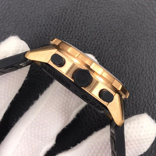 V6万国海洋时计系列鲨鱼青铜之旅“达尔文探险之旅”特别版44MM--青铜合金表壳 商品图6