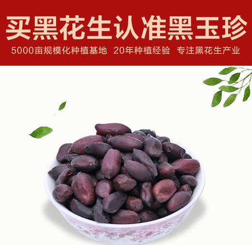 新货 富硒营养黑花生 黑花生米1斤1袋抽空装原产地黑花生 商品图5