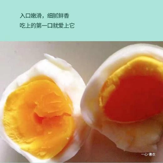 【七彩山鸡蛋】SGS机构检测 真正的无农残  无激素  无色素  无抗生素  农家散养土鸡蛋40枚 原生态散养 新鲜采集 营养好吸收  1004 商品图5