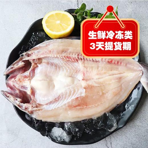 s开背鱼 1.4斤左右