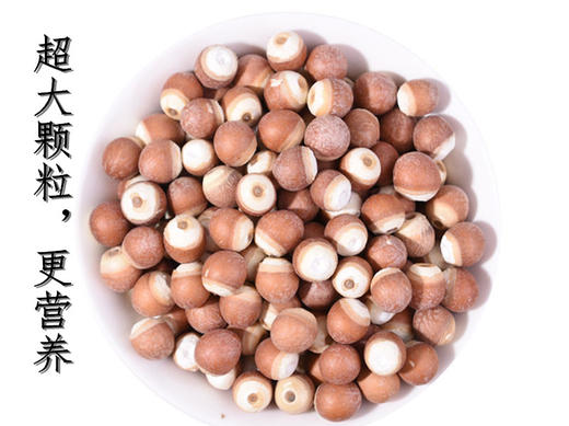 广东肇庆特大颗粒茨实 500克 包邮 商品图1