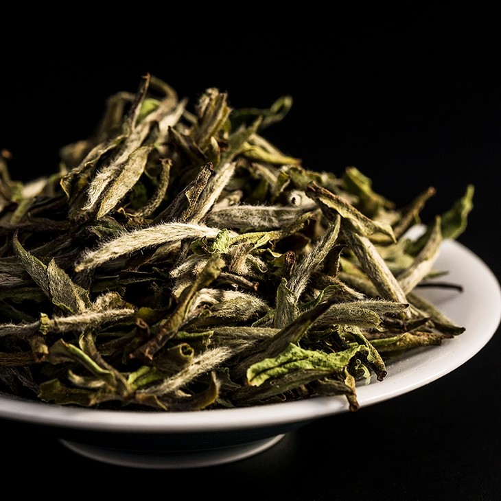 云根白茶阅光阴高山牡丹王500克限量典藏装