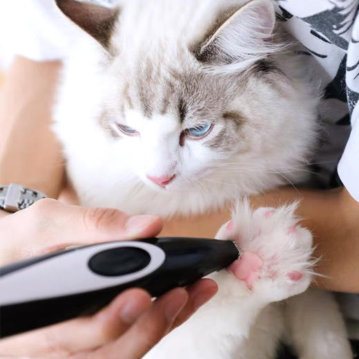 Nice Pet 猫咪单项 修脚圆+脚底毛 商品图0