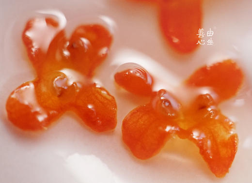 善由心生/丹桂露 商品图0