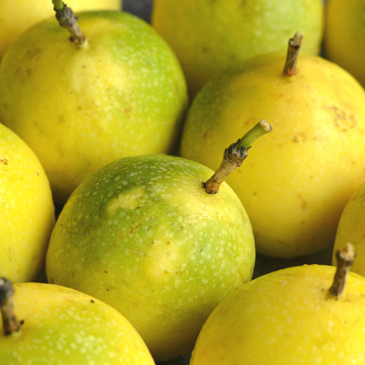 甜旅黄金百香果中果3斤当季新鲜水果鸡蛋果