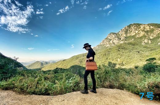 可以传家的 野葡萄藤包 商品图6