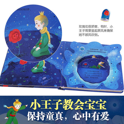 乐乐趣-揭秘小世界 名著 小王子 商品图4