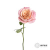 单头玫瑰 | 猪猪小姐 商品缩略图5