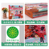 乐乐趣-揭秘小世界 名著 胡桃夹子 商品缩略图6