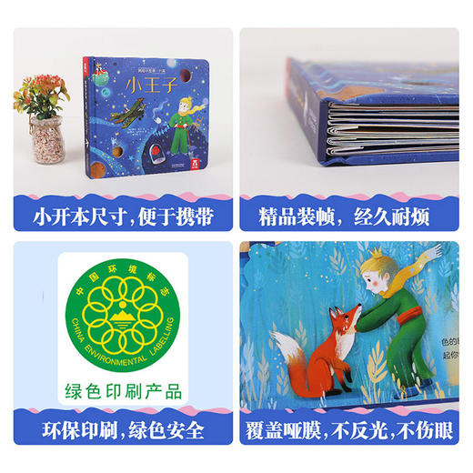乐乐趣-揭秘小世界 名著 小王子 商品图6
