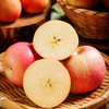 【顺丰直邮】甘肃精品皇家嘎啦苹果 5斤/10斤精品彩箱装 新鲜当季脆甜 商品缩略图2