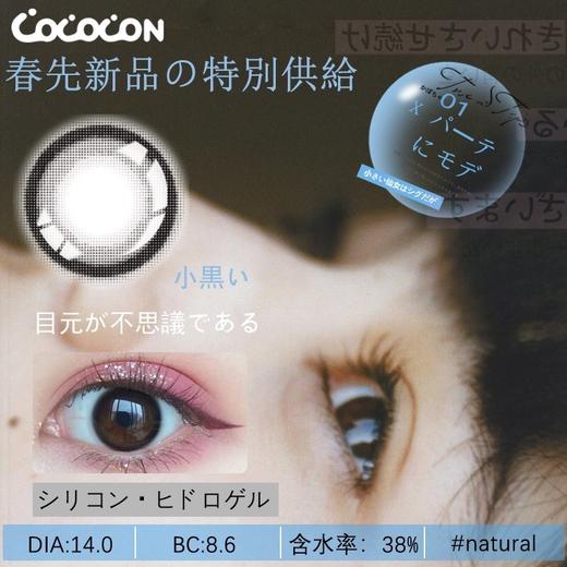 ab同款 cococon 年抛  小黑黑 商品图2