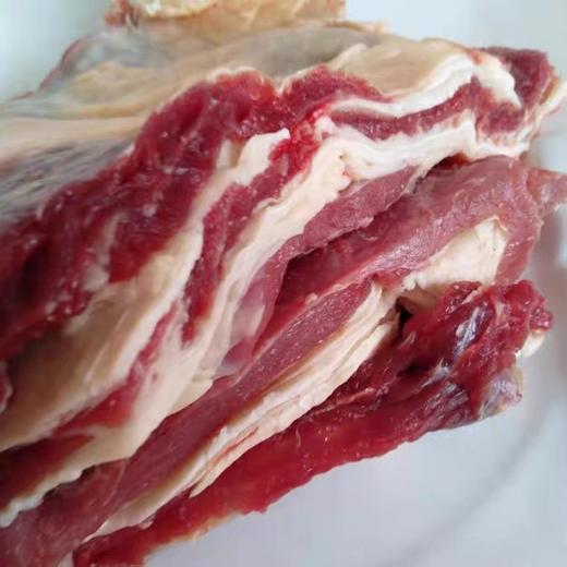 鲜冻牛腩1千克 商品图3